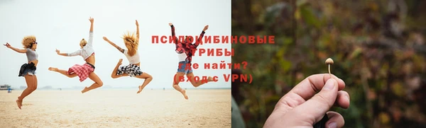 стафф Ветлуга