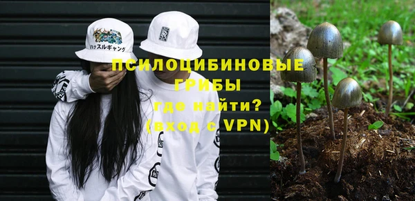 меф Няндома